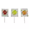 Magic Lollies Piatto Gr.5 Pz.200