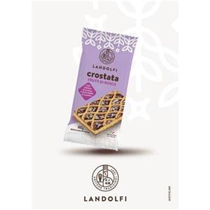 5482 - Landolfi Crostata Frutti Di Bosco Gr.60 Pz.16